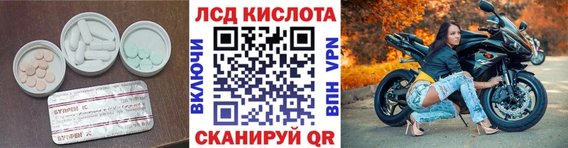 где найти   Кедровый  ЛСД экстази ecstasy 