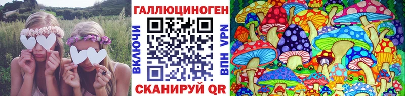 Псилоцибиновые грибы GOLDEN TEACHER  Кедровый 